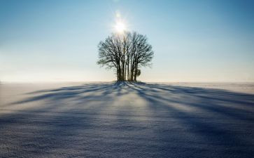 冬季除雪工作总结8篇