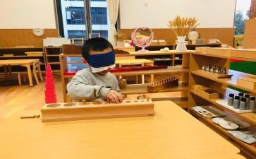 蒙氏幼儿园培训心得体会6篇