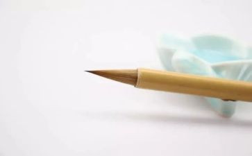 她让我着迷作文通用7篇