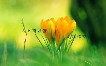 名人传的读后感400字7篇