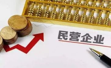 规上民营企业调研报告8篇