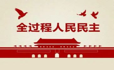 民主党员评议自我总结6篇