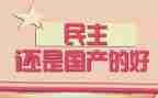 民主评议党员工作总结精选8篇