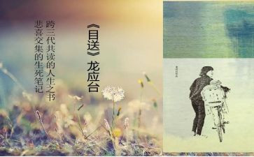 龙应台的目送读后感8篇