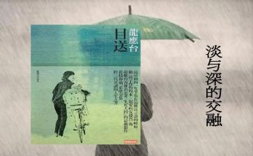 目送目送读后感参考7篇