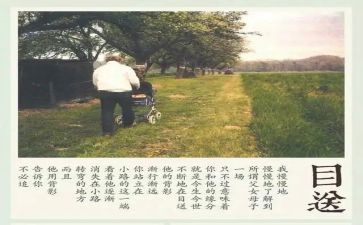 目送目送读后感优秀6篇