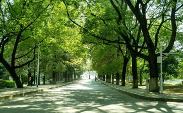 大学生母校行演讲稿7篇
