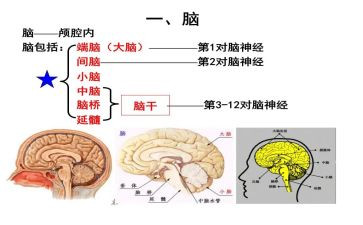 对电脑的工作总结模板7篇