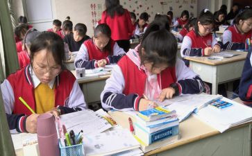 小学三年级语文述职报告6篇