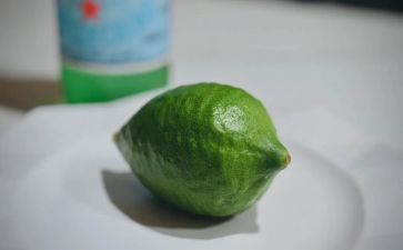 柠檬鸭的作文7篇