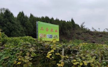 农产品的调研报告6篇