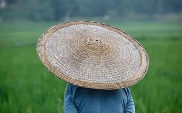 农夫与蛇的读后感通用7篇
