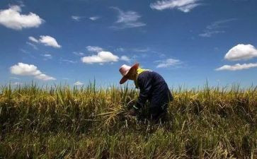 农夫和蛇的读后感7篇