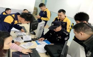 省排查工作总结7篇