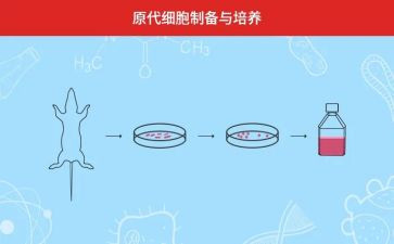 家长写培养孩子的心得体会5篇