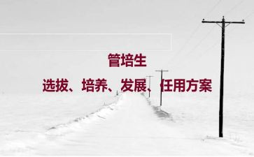 教师培养工作总结7篇