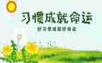 教师双培养工作总结6篇