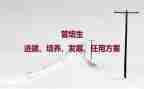 教师培养工作总结7篇