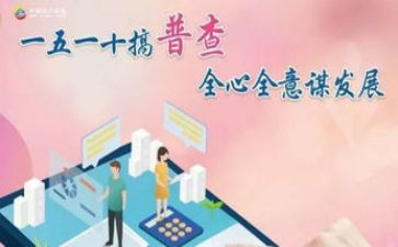 普查个人工作总结5篇
