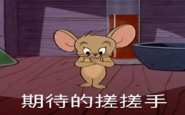 关于期待的作文精选5篇