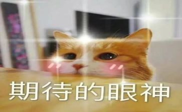 我期待——作文600字优秀6篇