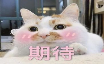 我期待秋天800作文8篇