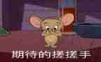 关于期待的作文精选5篇