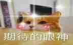 我期待——作文600字优秀6篇