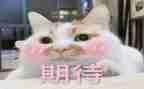我期待秋天800作文8篇
