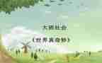 奇妙的声音教案5篇