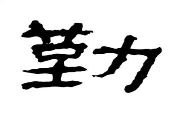 公司后勤人员工作总结8篇