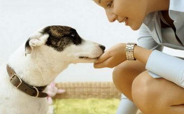 亲近…作文参考5篇