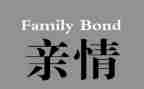 关于亲情的作文800字5篇