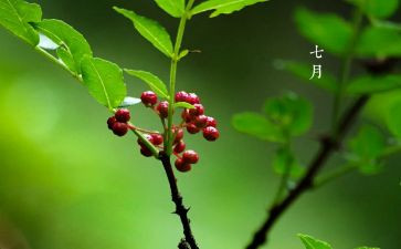 七月一演讲稿5篇
