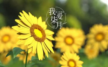 七月的天山教案8篇