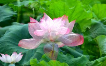 七月份工作总结范文5篇