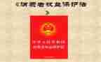 315消费者权益日活动总结5篇