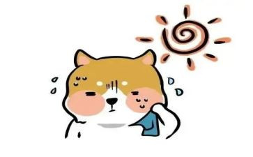 热血青春作文5篇