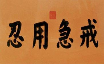 忍者观后感7篇