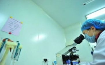 监理个人工作总结7篇