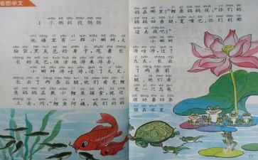 小学科学教师个人教学总结范文6篇
