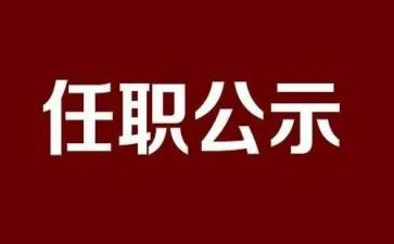 2024年任职工作总结优质6篇