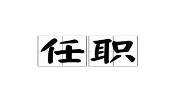教师任职工作总结个人总结5篇