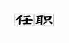 教师任职工作总结个人总结5篇