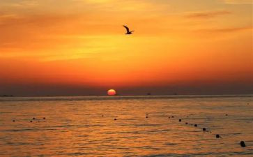 观日出的作文400字作文6篇