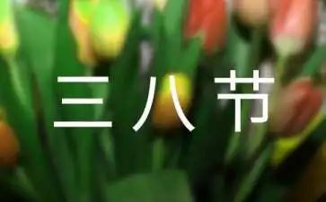学校2024三八节活动方案7篇