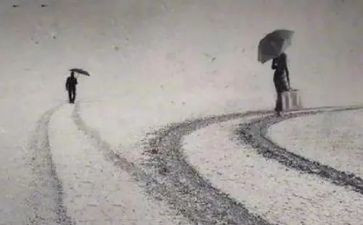 许三观卖血记读书心得5篇