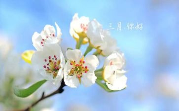 三月班工作总结8篇