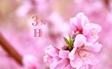 三月读书心得5篇