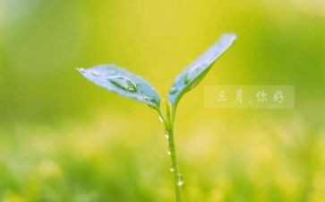 三月幼儿园工作总结7篇